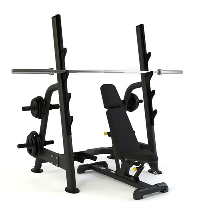 Pulse Olympic 4 in 1 Rack