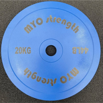 blue weight plate 20kg